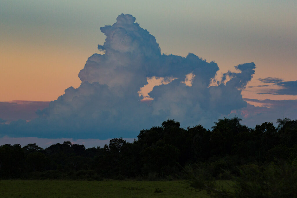 Large clouds over forest at sunset