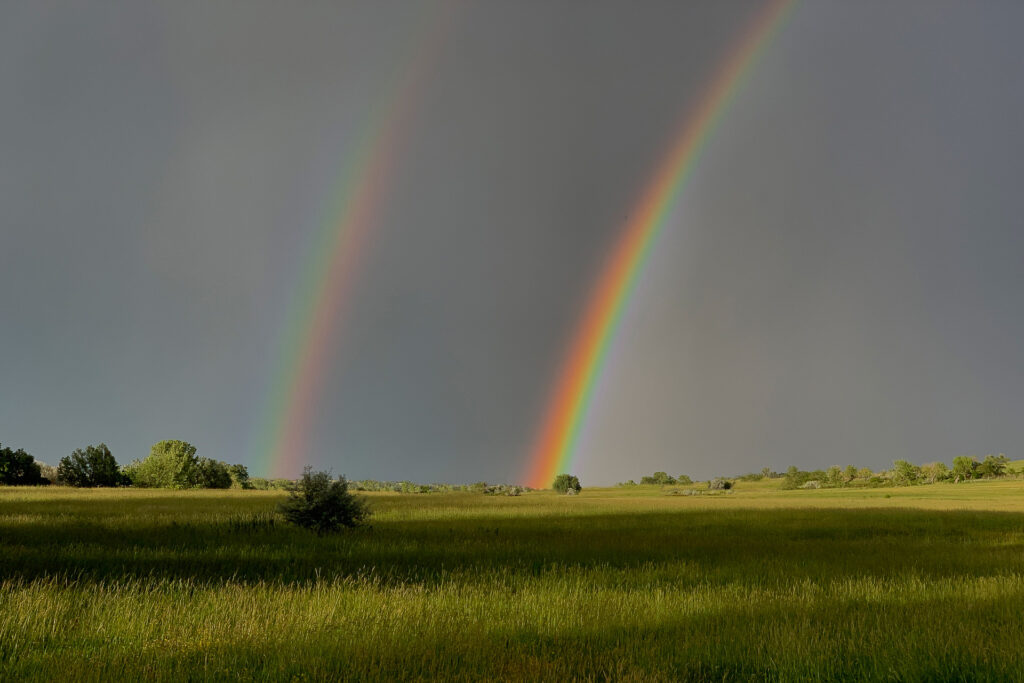 Double rainbow over grassy field and trees.