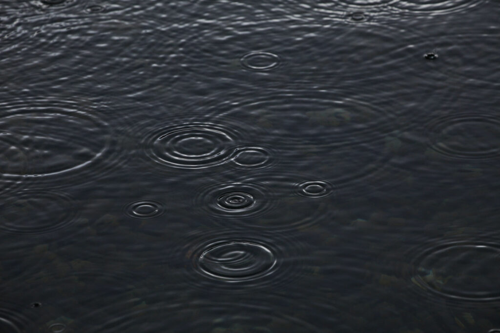 Raindrops creating ripples on a dark water surface.