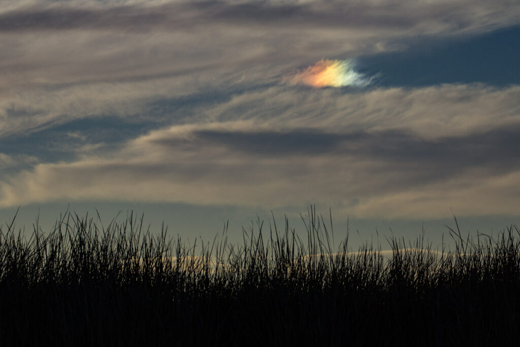 Colorful cloud over grassy field, calm evening sky.