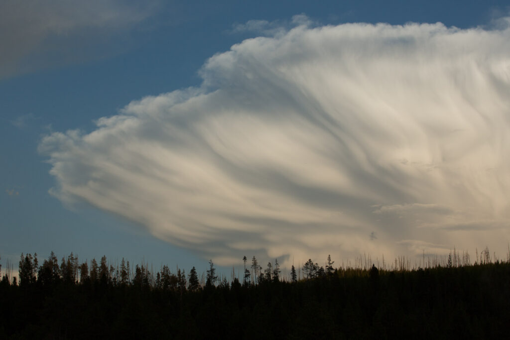 Dramatic cloud over forest under blue sky