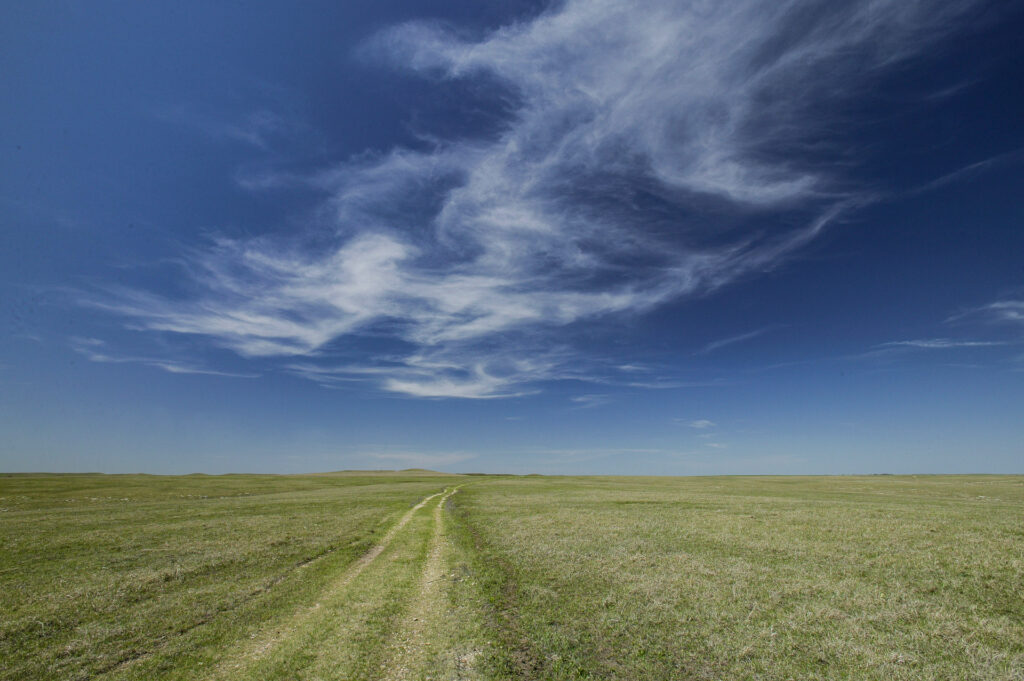 Dirt road through grassy plain under cloudy sky.